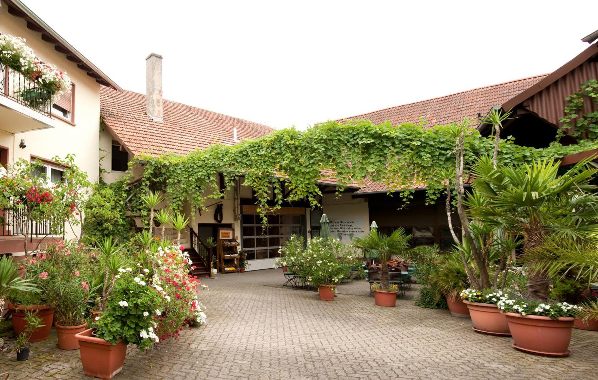 Weingut Und Gaestehaus Vongerichten Oberhausen エクステリア 写真